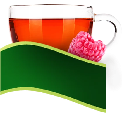 Herbata owocowa w torebkach Vitax Inspirations, owoce leśne, 20 sztuk x 2g