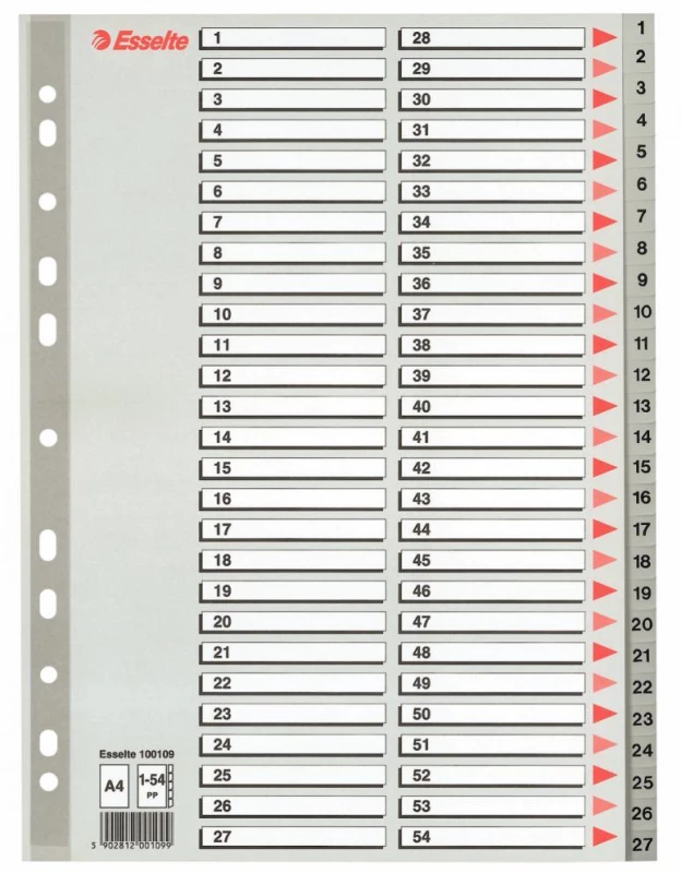 Przekładki plastikowe numeryczne Esselte A4 (1-54 kart, szary)