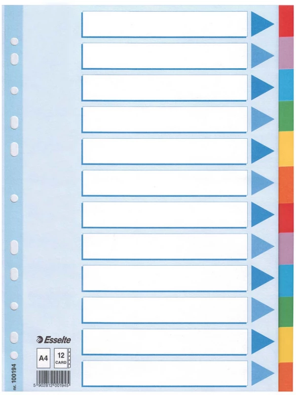 Pzekładki kartonowe gładkie z kolorowymi indeksami Esselte, A4, 12 kart, mix kolorów