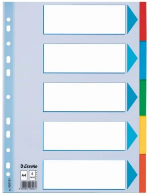 Przekładki kartonowe gładkie z kolorowymi indeksami Esselte, A4, 5 kart, mix kolorów