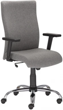 Fotel biurowy - gabinetowy Nowy Styl William R steel EF031, tkanina, szary