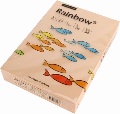 Papier ksero ekologiczny Rainbow, A4, 160g/m2, 250 arkuszy, łososiowy (R40)