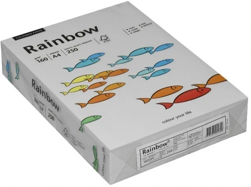Papier ksero ekologiczny Rainbow A4, 160g/m2, 250 arkuszy, szary (R96)