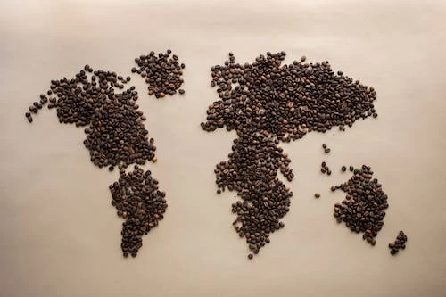 pochodzenie kawy a jej profil smakowy