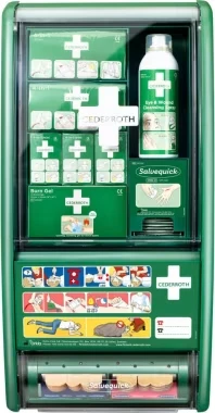 Apteczka ścienna Cederroth First Aid Station, z wyposażeniem, zielony