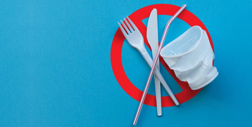 Zakaz plastiku 2021 – co zamiast plastikowych sztućców, kubków i talerzy?