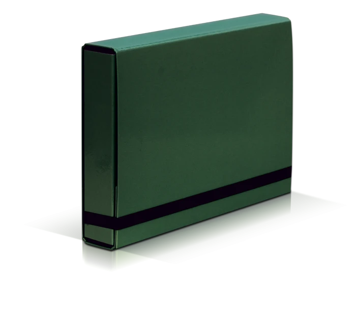 teczka kartonowa z gumką VauPe Box Caribic, A4, 50mm, zielony