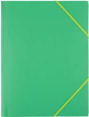 Teczka plastikowa z gumką D.Rect, A4, 40mm, zielony