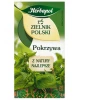 Herbata ziołowa w torebkach Herbapol Zielnik Polski, pokrzywa, 20 sztuk x 1.5g