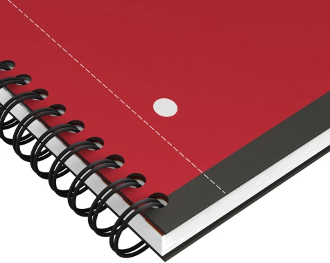 Kołonotatnik Oxford International ActiveBook, A4+, w kratkę, 80 kartek, szary