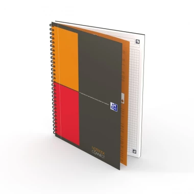 Kołonotatnik Oxford International Notebook, A4+, w kratkę, 80 kartek, szary