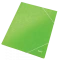 Teczka kartonowa z narożną gumką Leitz Wow, A4, 300g/m2,15mm, zielony