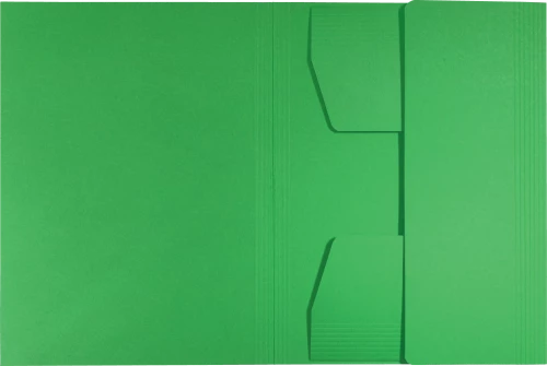 Teczka kartonowa Leitz Recycle, A4, 2mm, zielony