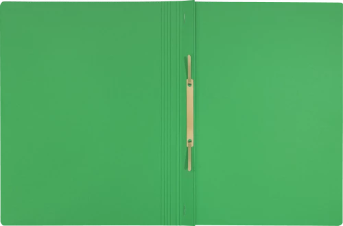 Skoroszyt kartonowy Leitz Recycle, A4, do 250 kartek, 275g/m2, zielony