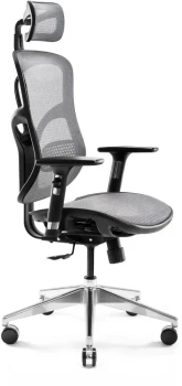 Fotel ergonomiczny Diablo Basic, czarno-szary