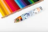 Kredki ołówkowe Oxford Kids, w tubie, 12 sztuk, mix kolorów