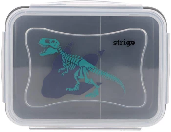 Lunchbox Strigo Noise, 16.5x12x6.5cm, transparentny