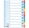 Przekładki kartonowe z kolorowymi indeksami Esselte, A4, 10 kart, mix kolorów