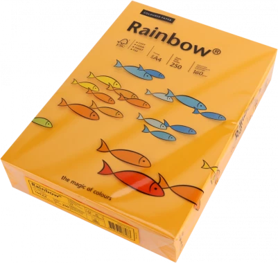 Papier kolorowy Rainbow, A4, 160g/m2, 250 arkuszy, pomarańczowy jasny (R22)