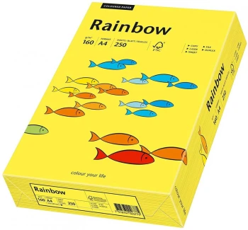 Papier kolorowy Rainbow, A4, 160g/m2, 250 arkuszy, ciemny żółty (R18)