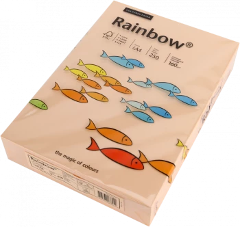 Papier kolorowy Rainbow, A4, 160g/m2, 250 arkuszy, łososiowy (R40)