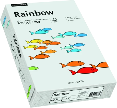 Papier kolorowy Rainbow, A4, 160g/m2, 250 arkuszy, jasny szary (R93)