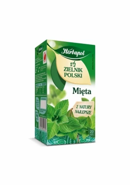 Zestaw 12x herbata ziołowa w torebkach Herbapol Zielnik Polski, mięta, 20 sztuk x 2g
