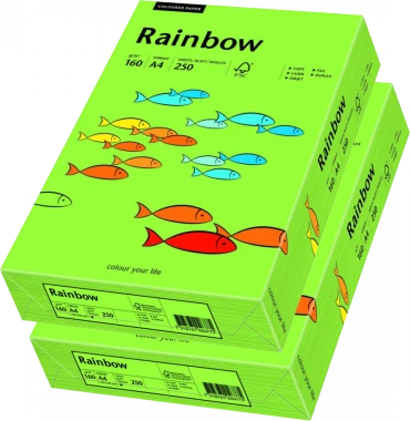 2x Papier ksero ekologiczny Rainbow, A4, 160g/m2, 250 arkuszy, zielony (R76)