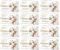 12x Mydło w kostce Luksja Creamy Cotton, 90g (c)