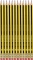 12x Ołówek Staedtler Noris, HB, z gumką, czarno-żółty