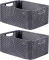 2x Koszyk Curver Rattan Style Box M, 18.5l, szary