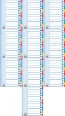 10x Przekładki kartonowe gładkie z kolorowymi indeksami Esselte, A4, 12 kart, mix kolorów