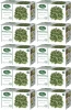 10x Herbatka ziołowa w torebkach Bifix, pokrzywa, 20 sztuk x 1.75g