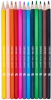 6x Kredki ołówkowe Oxford Regular, 12 sztuk + temperówka, mix kolorów