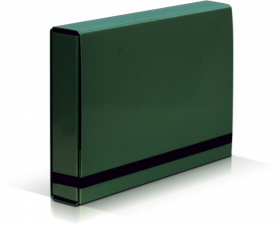 Teczka kartonowa z gumką VauPe Box Caribic, A4, 50mm, zielony