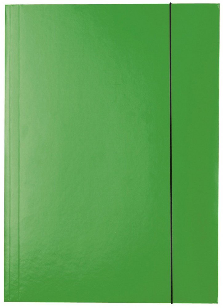 Teczka z gumką Esselte A4 kartonowa lakierowana zielony