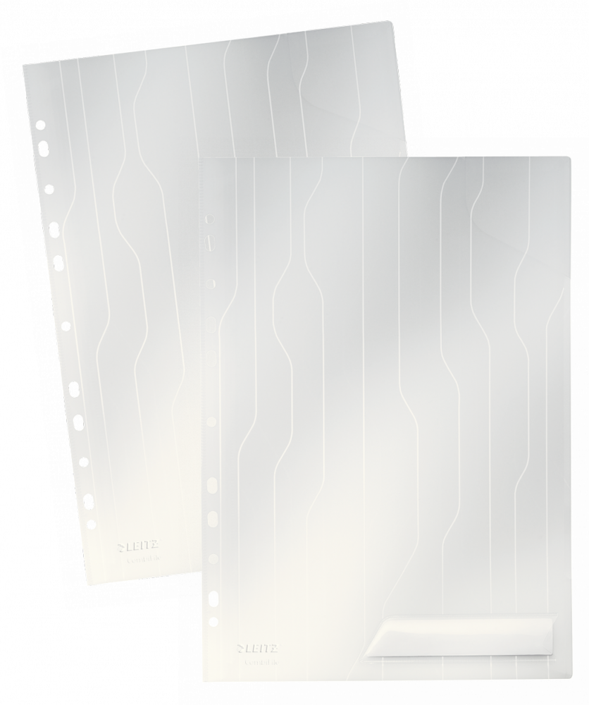 Folder Leitz CombiFile A4 40 kartek biały
