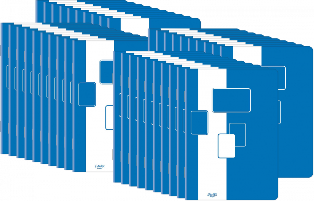 40x Zeszyt w kratkę Bantex Budget, A5, 60 kartek, biało-niebieski
